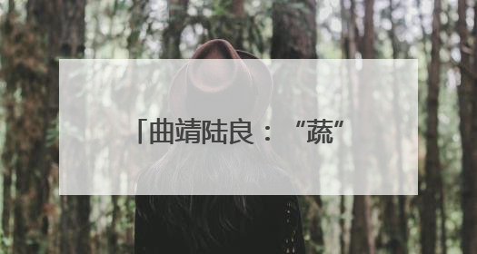 曲靖陆良：“蔬”心电护航粤港澳大湾区“菜篮子”