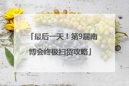 最后一天！第9届南博会终极扫货攻略