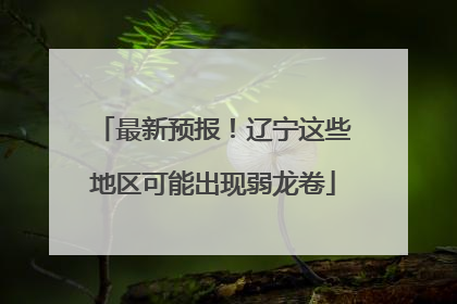 最新预报！辽宁这些地区可能出现弱龙卷