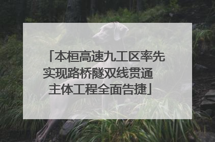 本桓高速九工区率先实现路桥隧双线贯通 主体工程全面告捷