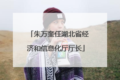 朱万奎任湖北省经济和信息化厅厅长