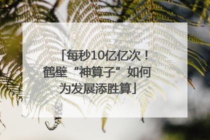 每秒10亿亿次！鹤壁“神算子”如何为发展添胜算