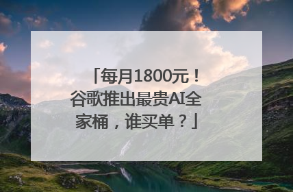 每月1800元！谷歌推出最贵AI全家桶，谁买单？