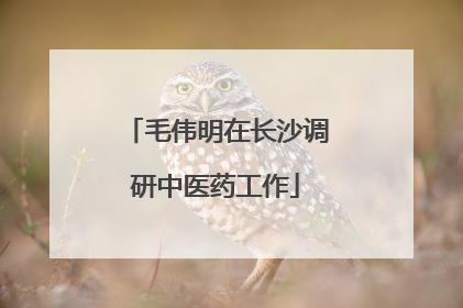毛伟明在长沙调研中医药工作