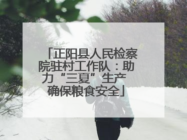 正阳县人民检察院驻村工作队：助力“三夏”生产 确保粮食安全