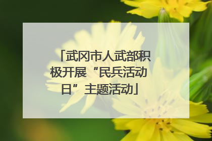 武冈市人武部积极开展“民兵活动日”主题活动