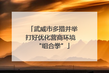 武威市多措并举打好优化营商环境“组合拳”