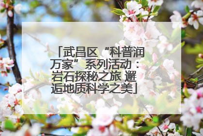 武昌区“科普润万家”系列活动：岩石探秘之旅 邂逅地质科学之美