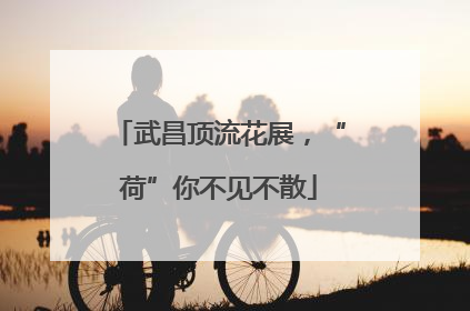 武昌顶流花展，“荷”你不见不散
