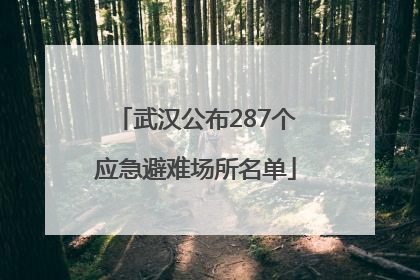 武汉公布287个应急避难场所名单