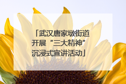 武汉唐家墩街道开展“三大精神”沉浸式宣讲活动