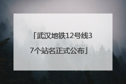 武汉地铁12号线37个站名正式公布