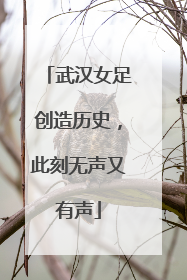 武汉女足创造历史，此刻无声又有声