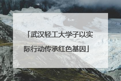 武汉轻工大学子以实际行动传承红色基因