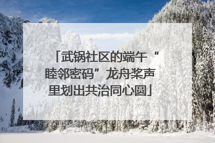 武锅社区的端午“睦邻密码”龙舟桨声里划出共治同心圆