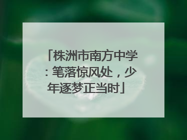 株洲市南方中学：笔落惊风处，少年逐梦正当时