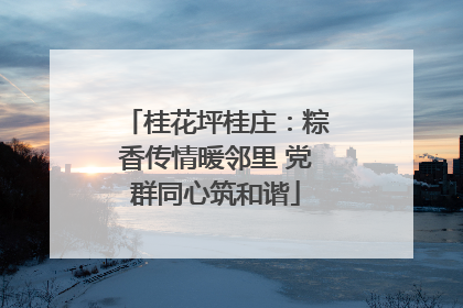 桂花坪桂庄：粽香传情暖邻里 党群同心筑和谐