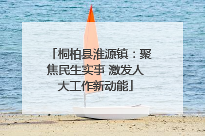 桐柏县淮源镇：聚焦民生实事 激发人大工作新动能