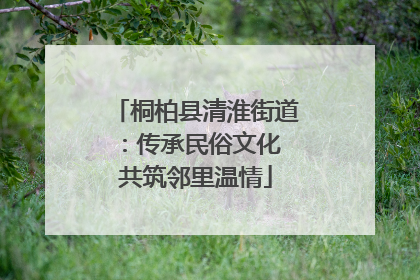 桐柏县清淮街道：传承民俗文化 共筑邻里温情