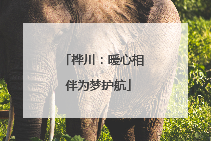 桦川：暖心相伴为梦护航