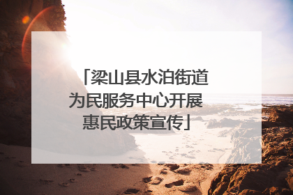 梁山县水泊街道为民服务中心开展惠民政策宣传