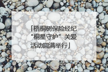 梧桐树保险经纪“桐星守护”关爱活动圆满举行