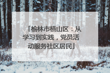 榆林市横山区：从学习到实践，党员活动服务社区居民