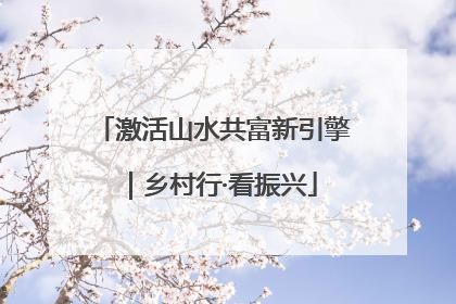 激活山水共富新引擎｜乡村行·看振兴