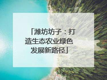 潍坊坊子：打造生态农业绿色发展新路径