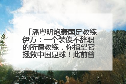 潘粤明炮轰国足教练伊万：一个装傻不辞职的所谓教练，你指望它拯救中国足球！此前曾多次发文评价国足