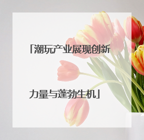 潮玩产业展现创新力量与蓬勃生机