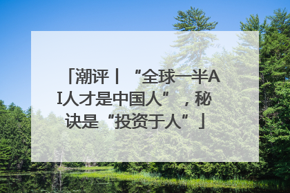 潮评丨“全球一半AI人才是中国人”，秘诀是“投资于人”