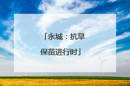 永城：抗旱保苗进行时