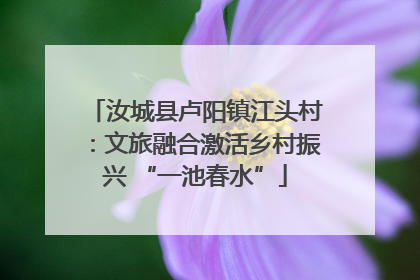 汝城县卢阳镇江头村：文旅融合激活乡村振兴 “一池春水”