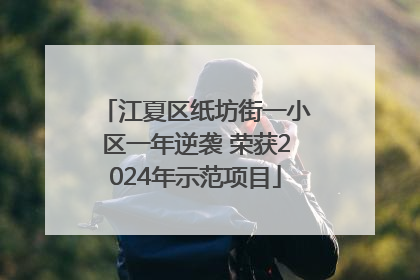 江夏区纸坊街一小区一年逆袭 荣获2024年示范项目