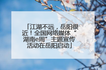 江湖不远，岳阳很近！全国网络媒体“湖南e周”主题宣传活动在岳阳启动