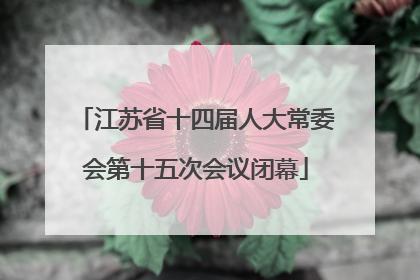 江苏省十四届人大常委会第十五次会议闭幕