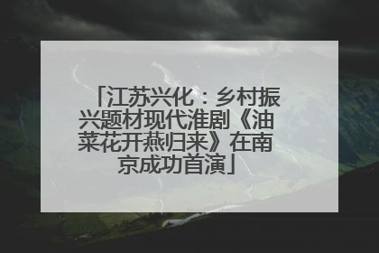 江苏兴化：乡村振兴题材现代淮剧《油菜花开燕归来》在南京成功首演