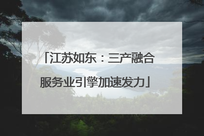 江苏如东：三产融合 服务业引擎加速发力