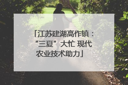 江苏建湖高作镇：“三夏”大忙 现代农业技术助力