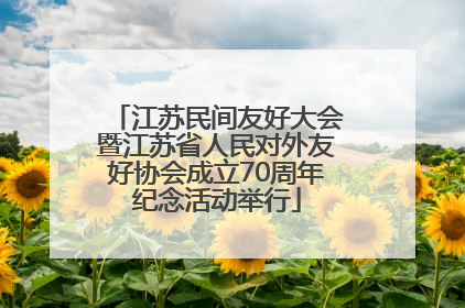 江苏民间友好大会暨江苏省人民对外友好协会成立70周年纪念活动举行