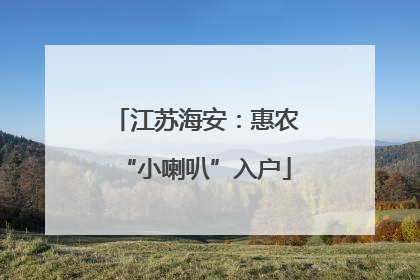 江苏海安：惠农“小喇叭”入户