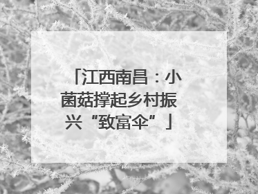 江西南昌：小菌菇撑起乡村振兴“致富伞”
