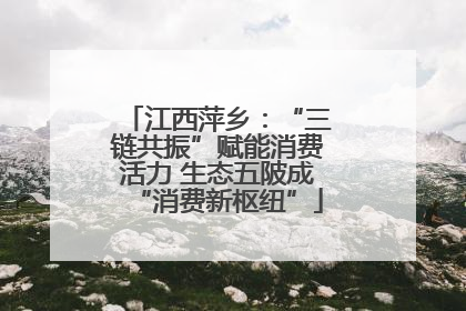 江西萍乡：“三链共振”赋能消费活力 生态五陂成“消费新枢纽”