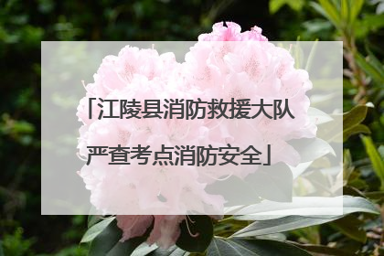 江陵县消防救援大队严查考点消防安全