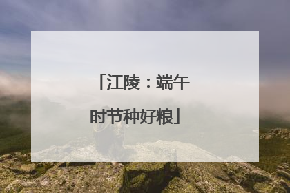 江陵：端午时节种好粮