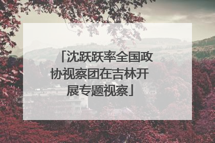 沈跃跃率全国政协视察团在吉林开展专题视察
