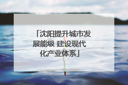 沈阳提升城市发展能级 建设现代化产业体系