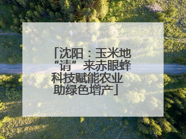 沈阳：玉米地“请”来赤眼蜂 科技赋能农业助绿色增产