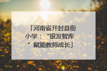 河南省开封县街小学：“银发智库”赋能教师成长